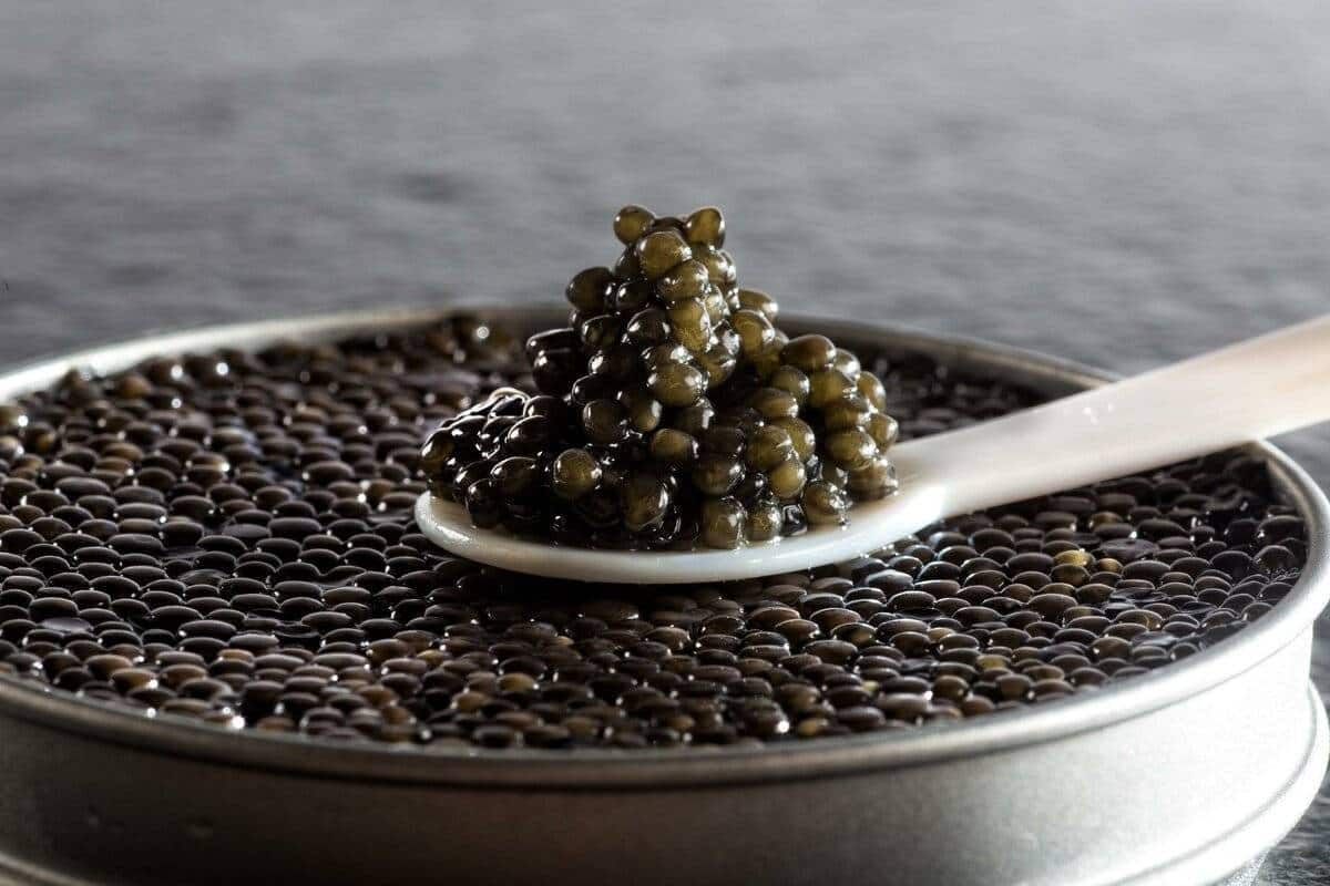  Simple Beluga Iranian Caviar | buy at a cheap price 