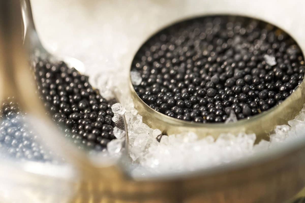  Simple Beluga Iranian Caviar | buy at a cheap price 