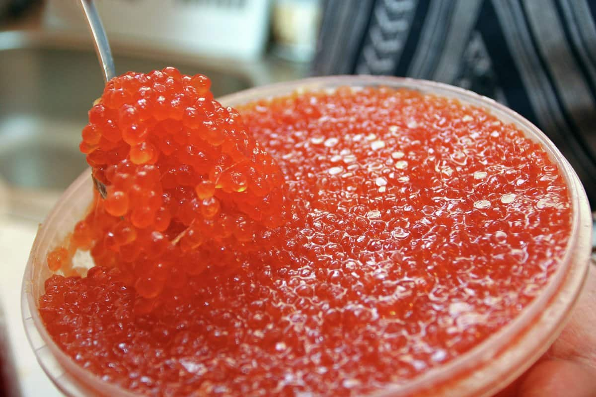  Red Caviar per kg (Salmon Roe) Juicy Gluten Trans Fat Free Contain Omega 3 Iodine 