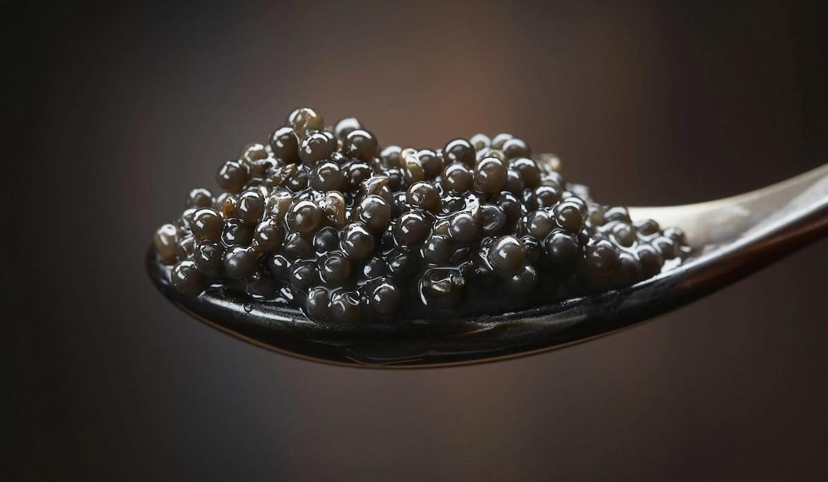  beluga caviar benefits the attractiveness of the skin and hair 