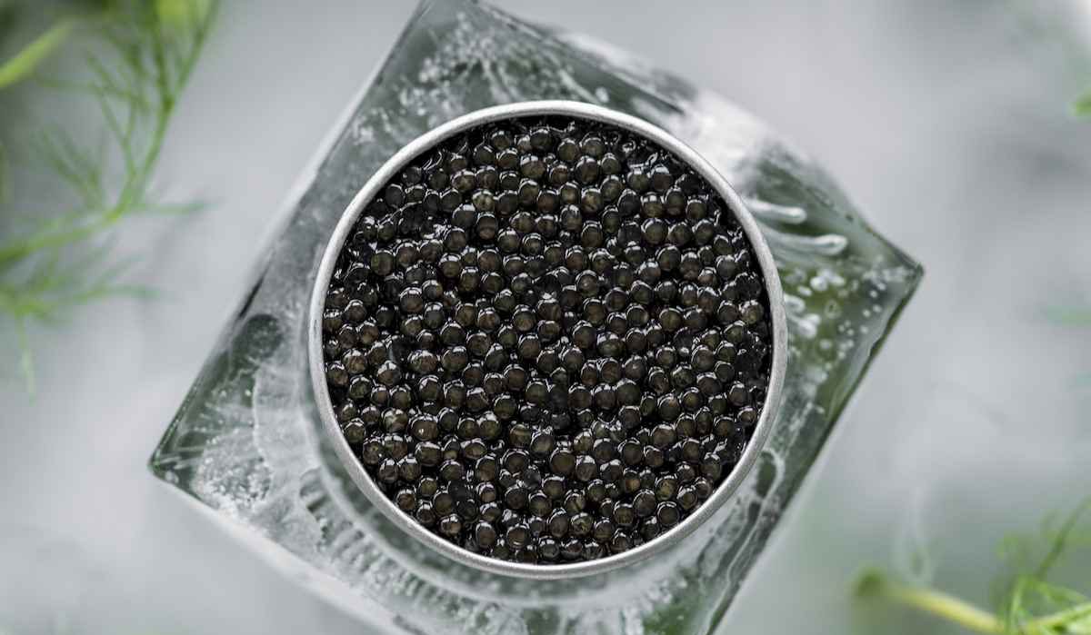  beluga caviar benefits the attractiveness of the skin and hair 