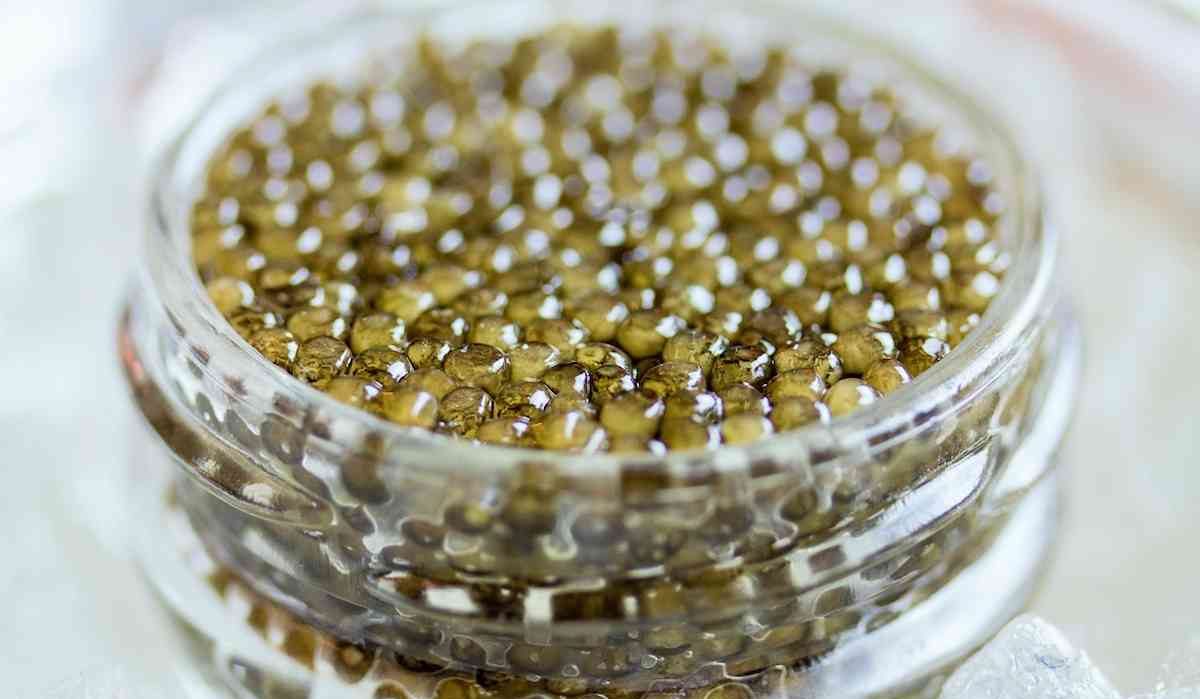  beluga caviar benefits the attractiveness of the skin and hair 