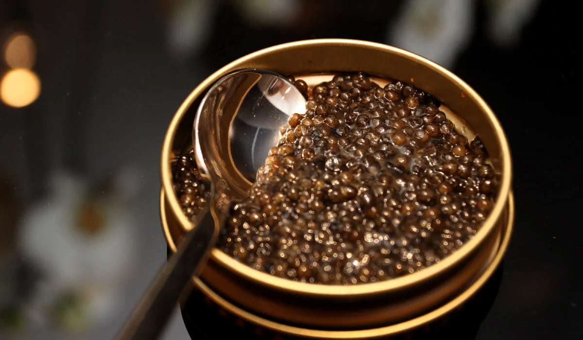  beluga caviar benefits the attractiveness of the skin and hair 