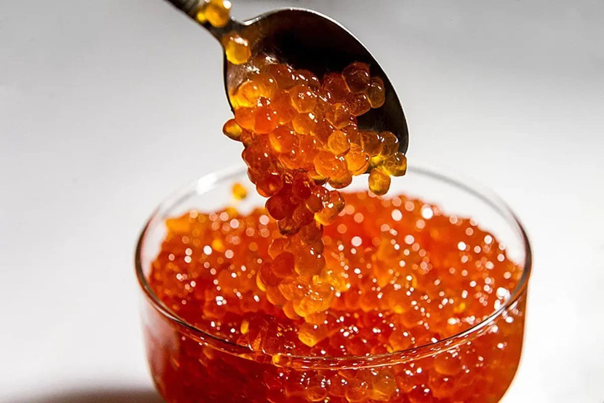  Red Caviar per kg (Salmon Roe) Juicy Gluten Trans Fat Free Contain Omega 3 Iodine 