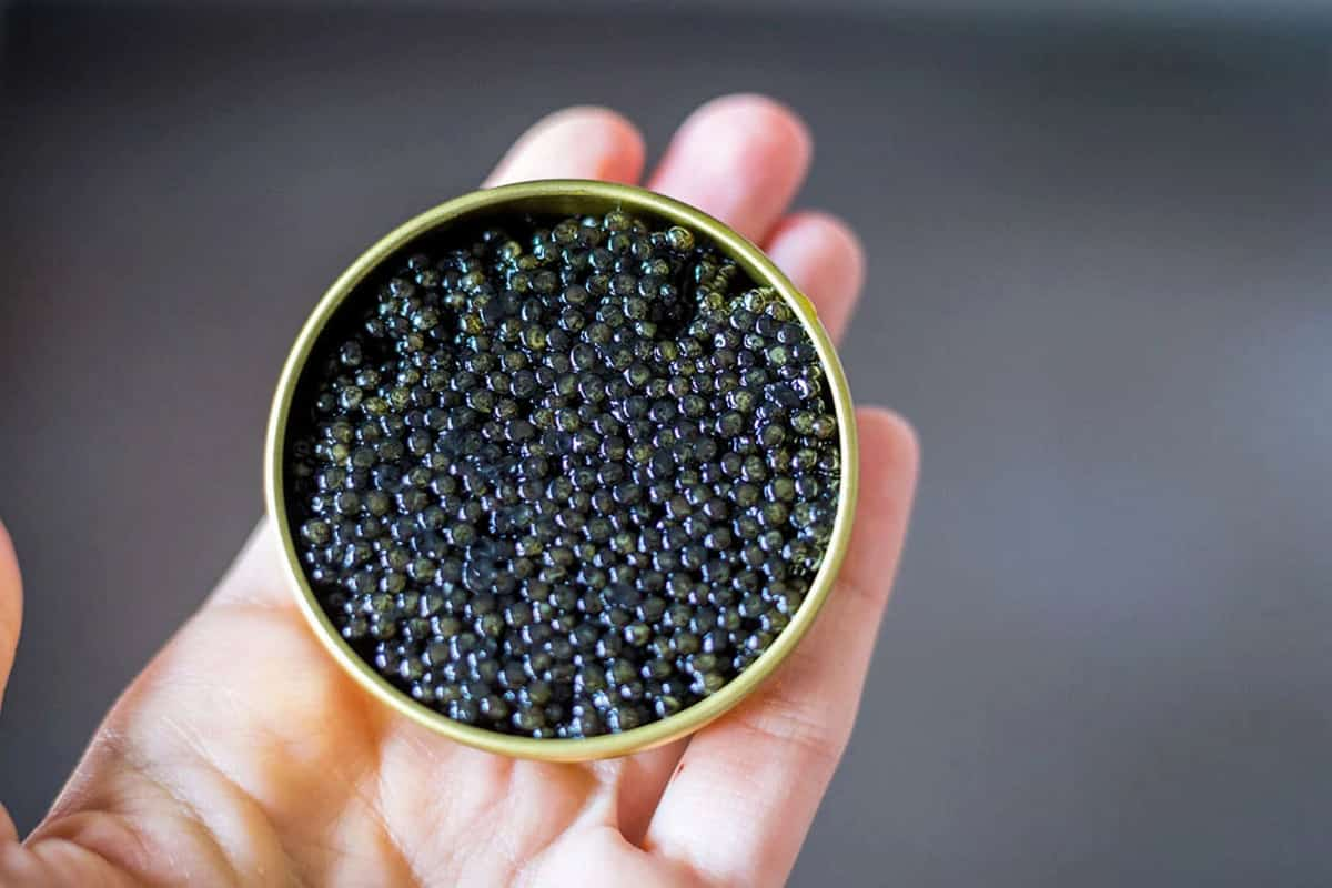  Buy beluga caviar for sexual treatment + great price 