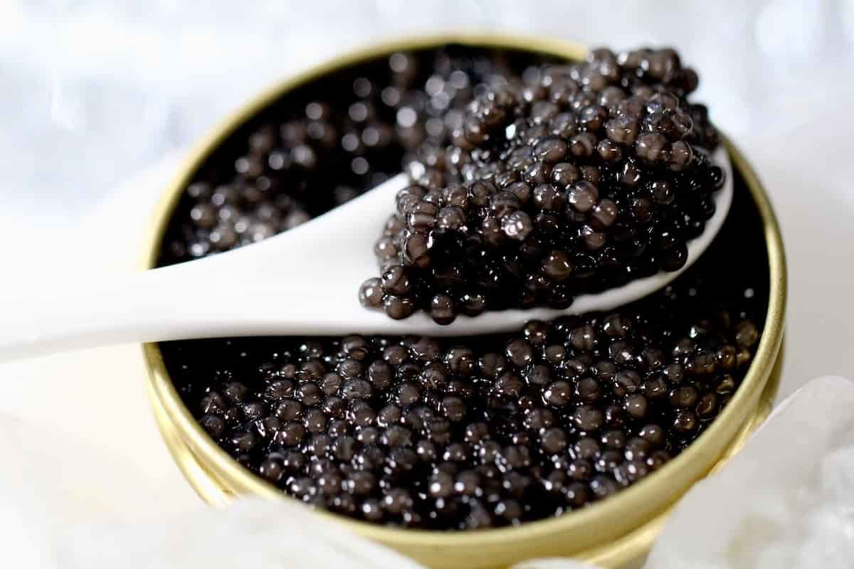  Buy beluga caviar for sexual treatment + great price 