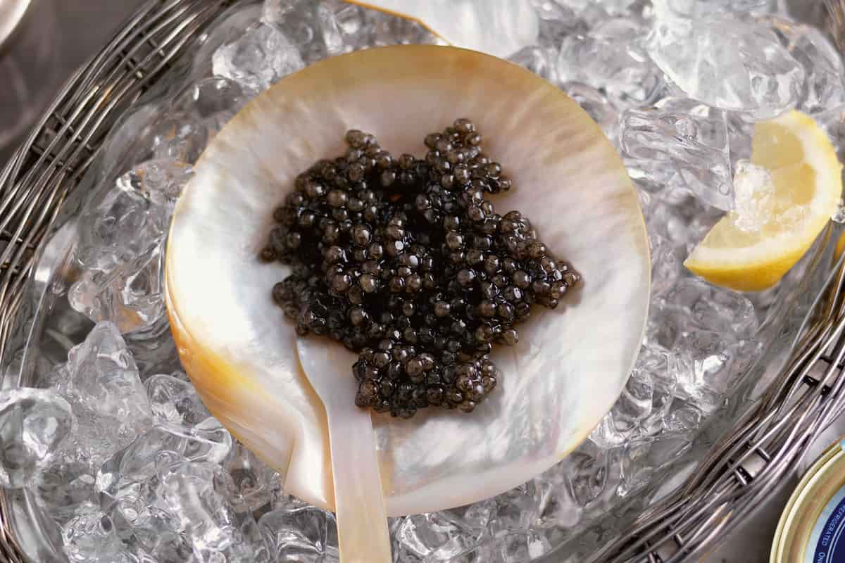  Buy beluga caviar for sexual treatment + great price 