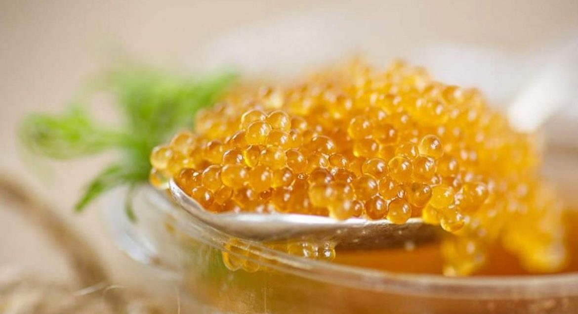 The Best Almas Beluga Caviar + Great Purchase Price