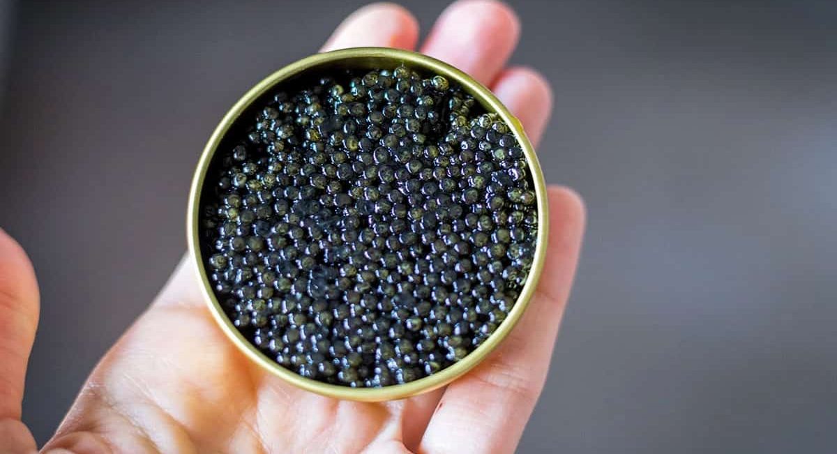  The Best Almas Beluga Caviar + Great Purchase Price 