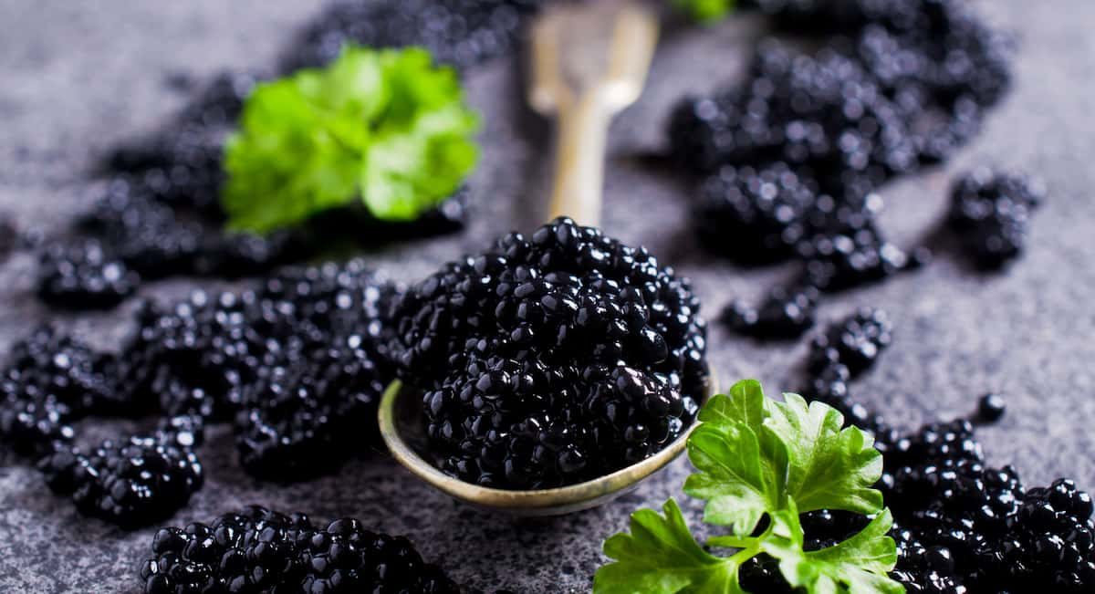  The Best Almas Beluga Caviar + Great Purchase Price 