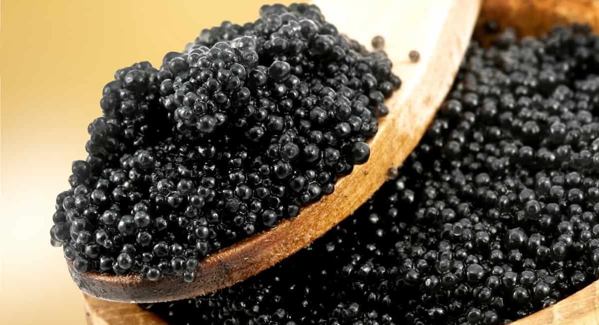  The Best Almas Beluga Caviar + Great Purchase Price 