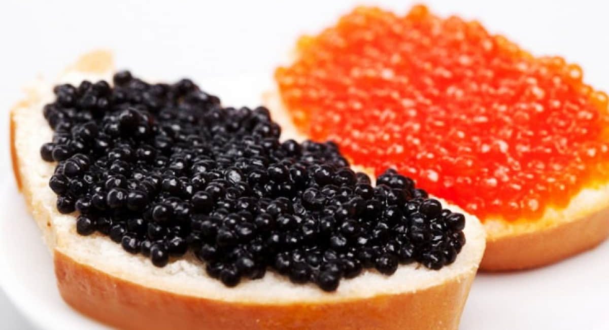  The Best Almas Beluga Caviar + Great Purchase Price 