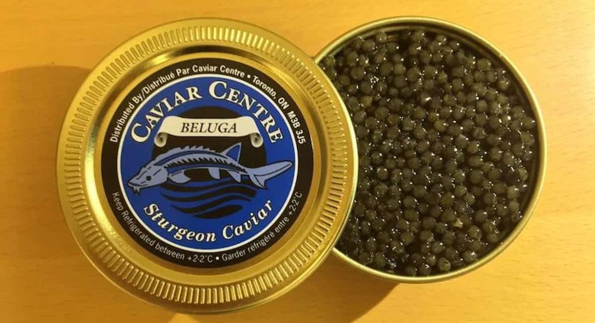 Price List of Illegal beluga caviar 2023