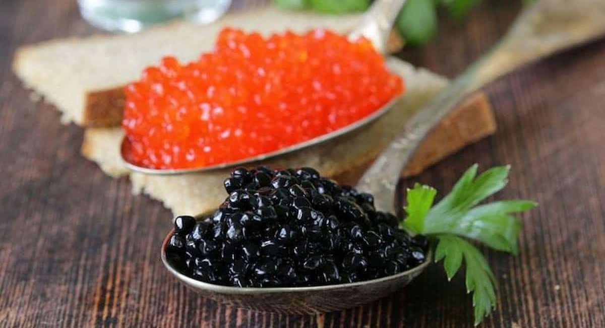  Price List of Illegal beluga caviar 2023 