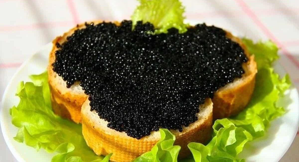  Price List of Illegal beluga caviar 2023 