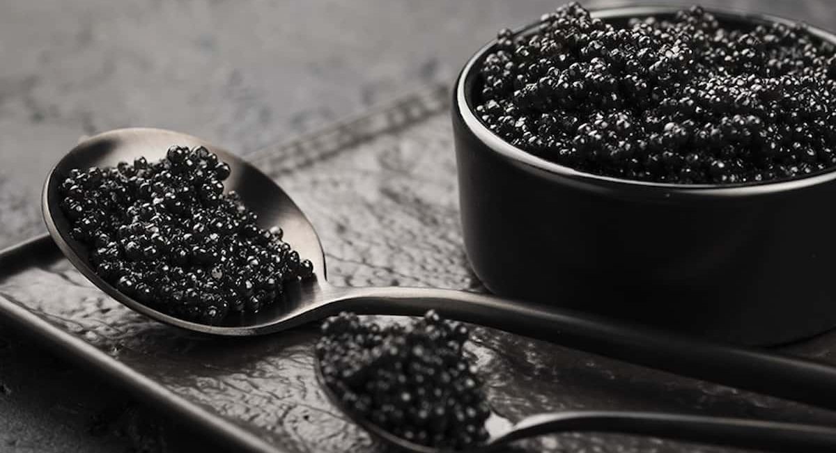  Price List of Illegal beluga caviar 2023 