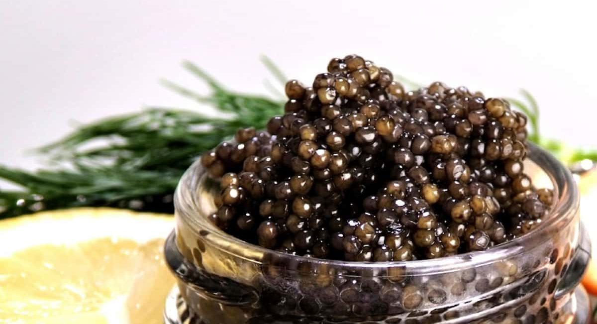  Price List of Illegal beluga caviar 2023 