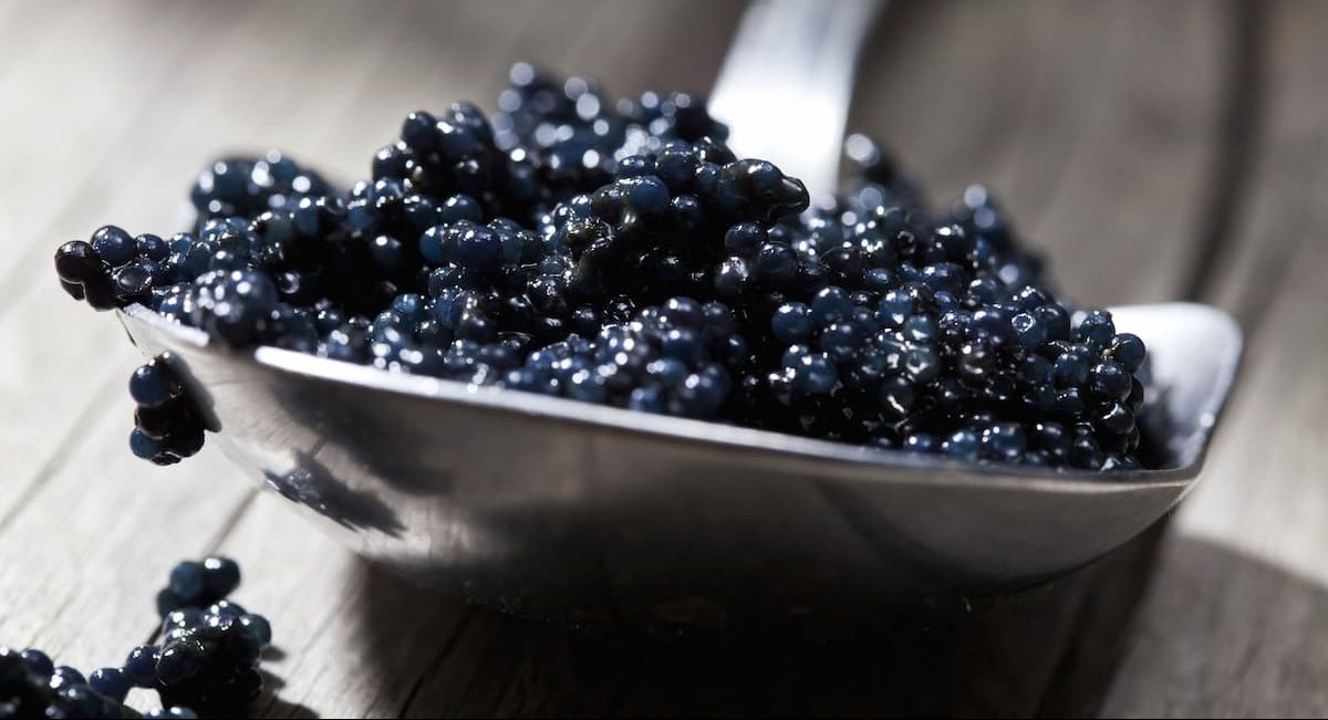  Price List of Illegal beluga caviar 2023 