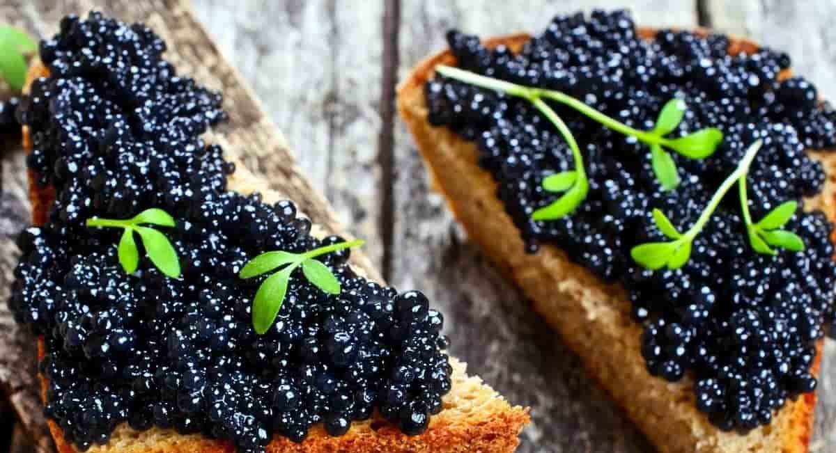  Price List of Illegal beluga caviar 2023 