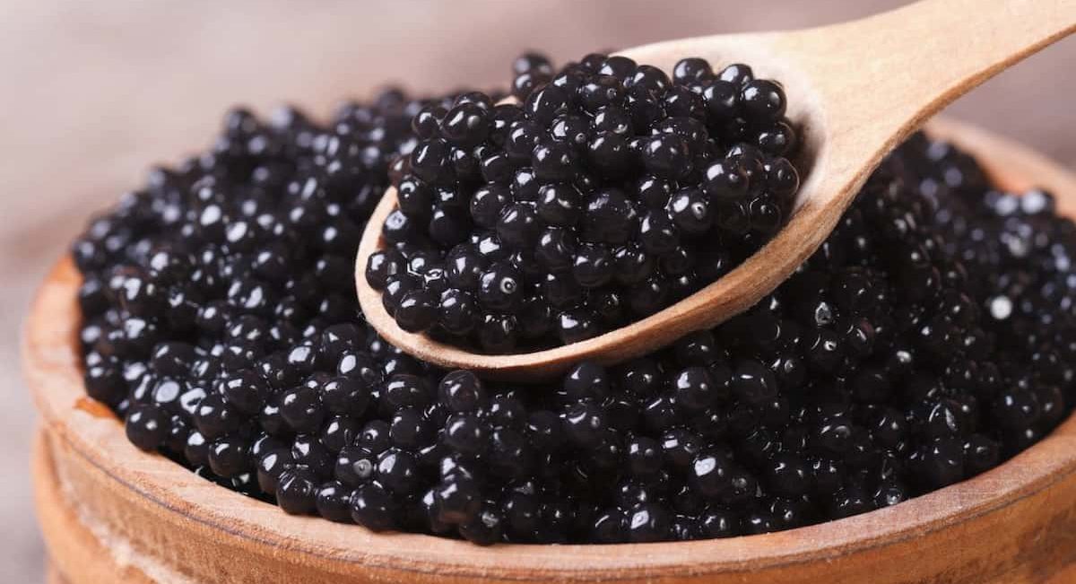  Price List of Illegal beluga caviar 2023 