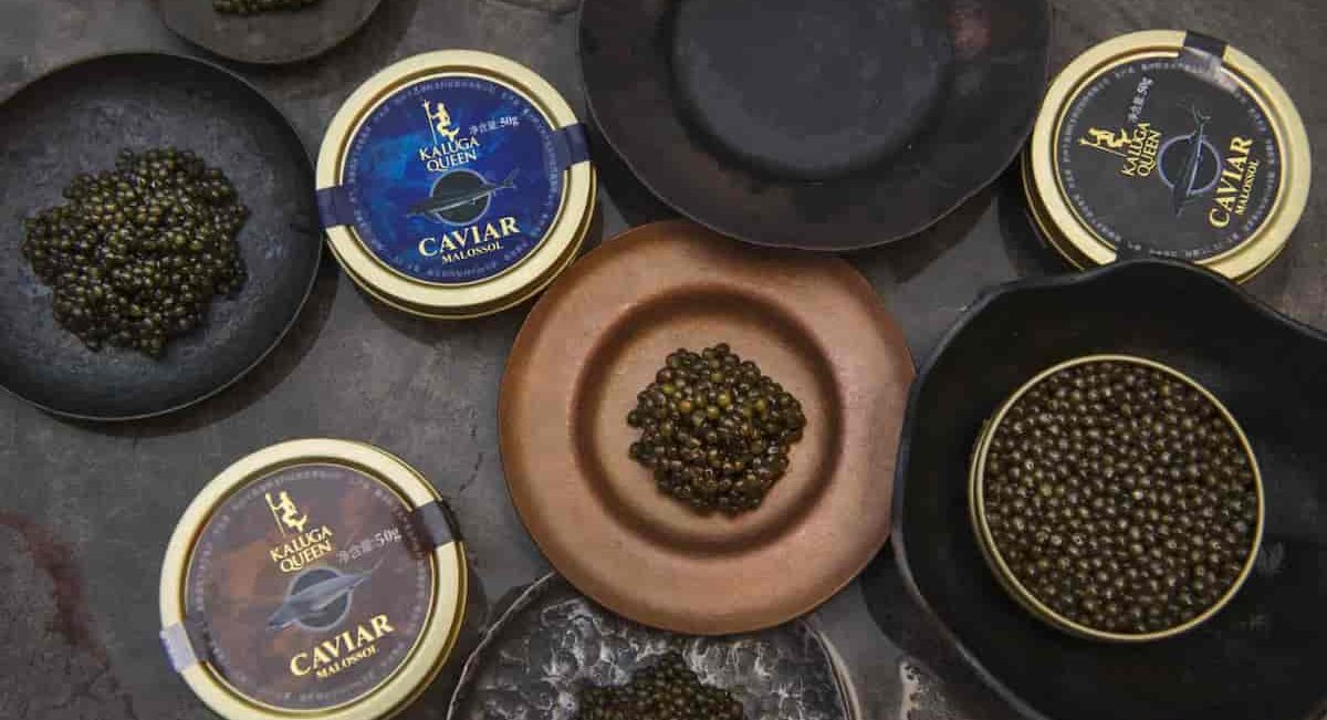  Buy Hackleback Osetra Kaluga Caviar + The Best Price 