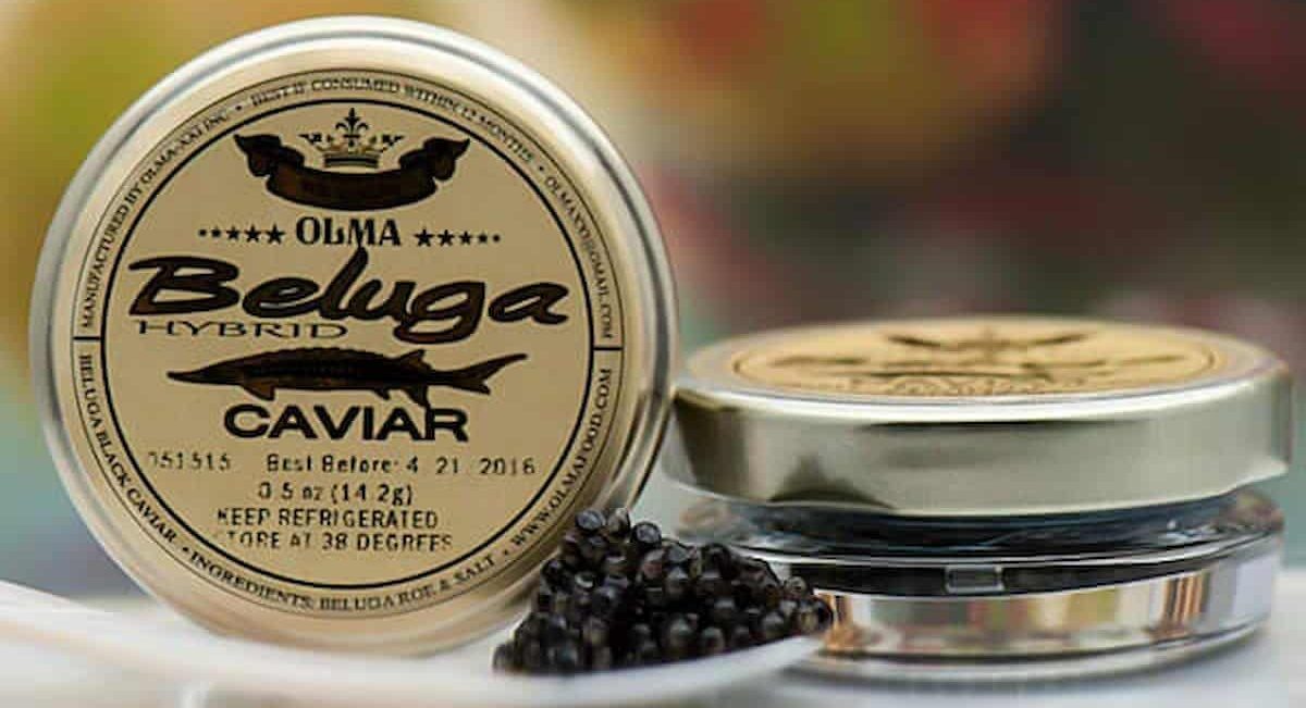  Buy Hackleback Osetra Kaluga Caviar + The Best Price 