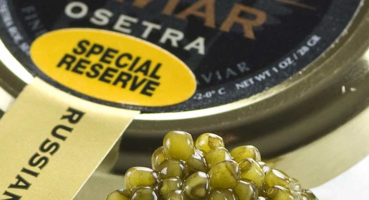  Buy Hackleback Osetra Kaluga Caviar + The Best Price 