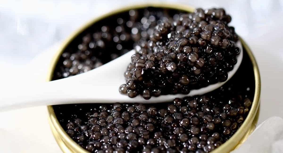  Buy Hackleback Osetra Kaluga Caviar + The Best Price 