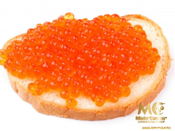 Purchase and price of best caviar online types