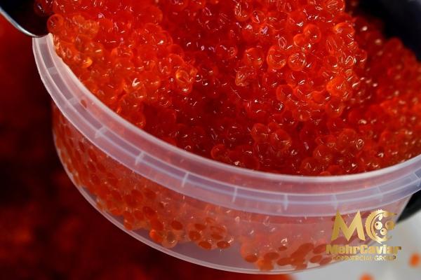 Red caviar calgary purchase price + user guide