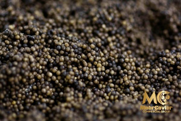 Crodarom green caviar purchase price + preparation method