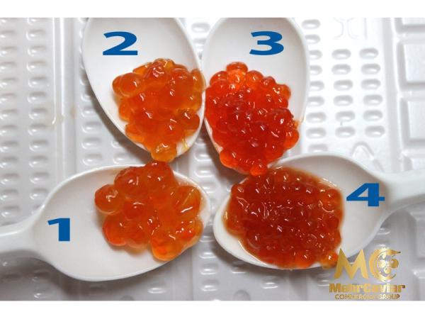 Awers red caviar purchase price + quality test