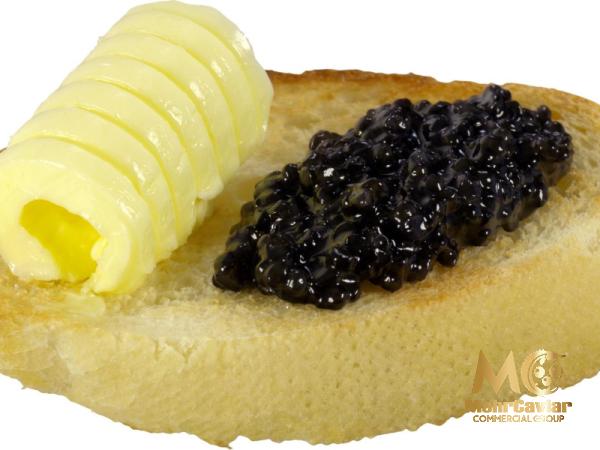 The purchase price of best caviar available in US