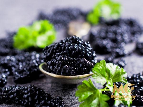 Introducing best caviar in Europe + the best purchase price