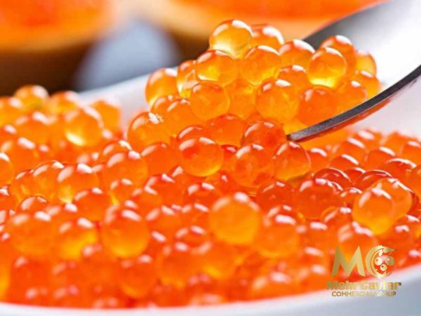 Buy retail and wholesale golden caviar Budapest price