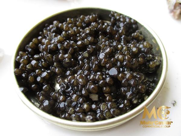 The price and purchase types of best caviar Australia