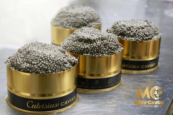 Best black caviar purchase price + user guide