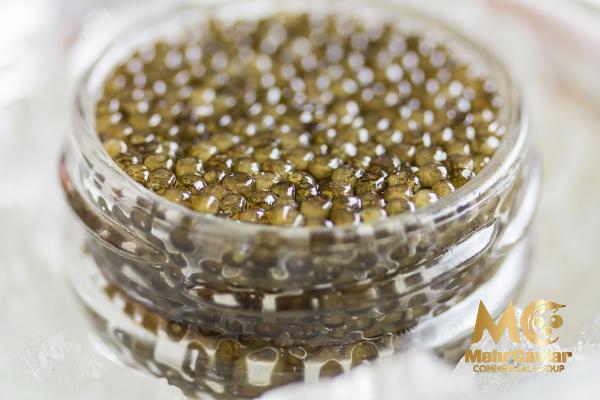 Price and buy green caviar sea grapes + cheap sale