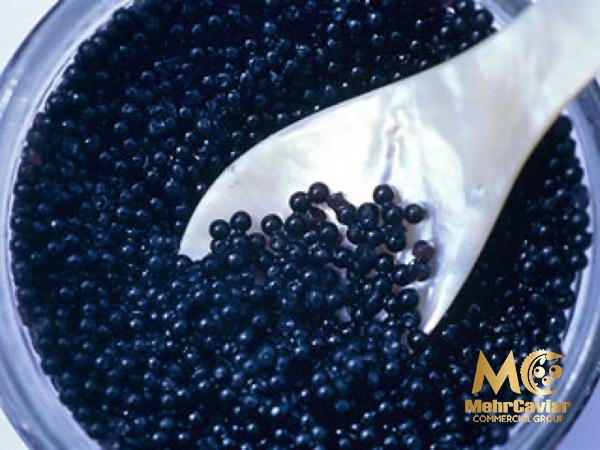 Purchase and today price of caviar almas precio colombia