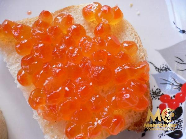 Golden albino caviar buying guide + great price