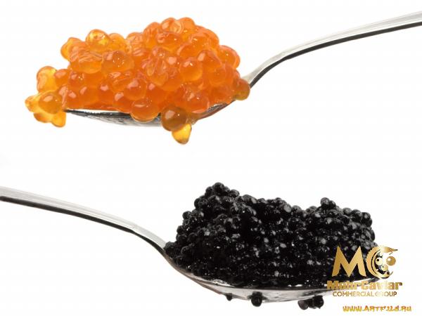 Black caviar Dubai purchase price + specifications, cheap wholesale