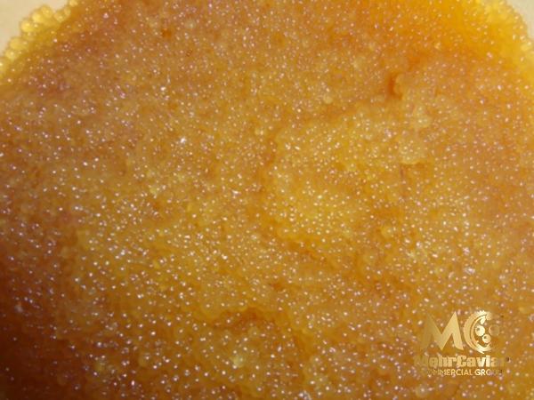 Almas golden caviar + purchase price, uses and properties