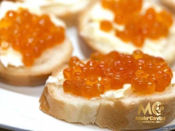 Buy best caviar beluga + great price with guaranteed quality