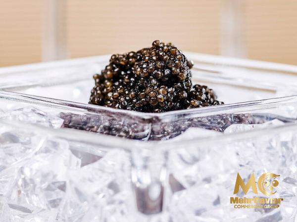 Iranian almas caviar | Sellers at reasonable prices Iranian almas caviar