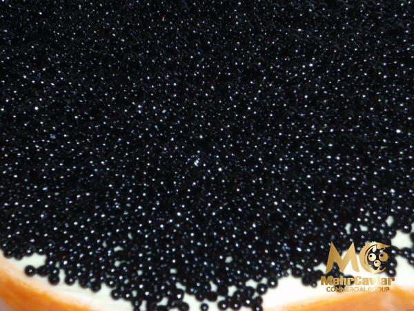 Expensive black caviar 2023 price list