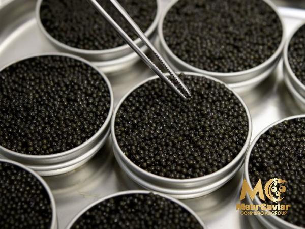 Buy retail and wholesale almas caviar Singapore price